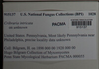 Image Associated With the Occurence